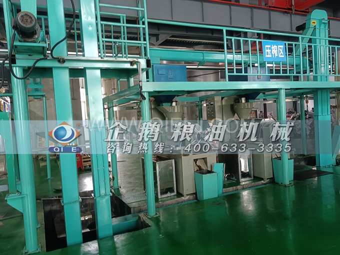 企鵝牌核桃油榨油設備，生產綠色健康油受大眾喜愛(圖4)