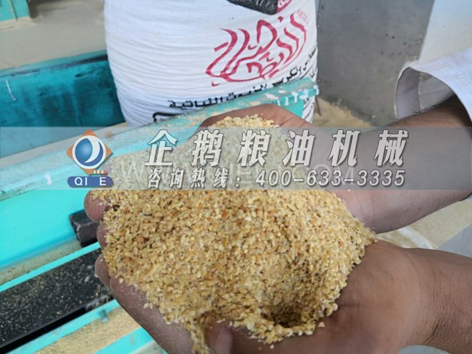 米糠油精煉設備，企鵝機械不斷創新提升工藝效果(圖2)